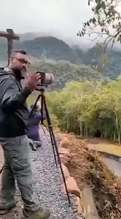 Interesting animal