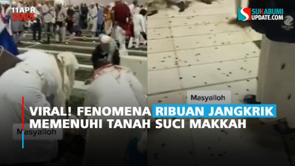 Viral! Fenomena Ribuan Jangkrik Hitam Memenuhi Tanah Suci Makkah