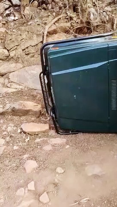 पार्क भ्रमण के दौरान बे्रक फेल होने से पलटी जिप...