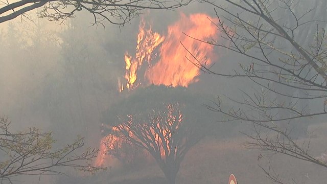 [날씨] 봄 강풍에 양간지풍 겹쳤다...초속 20∼30m 돌풍 / YTN
