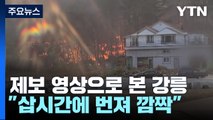 제보 영상으로 본 강릉 산불...