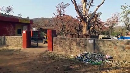 रणथम्भौर: लोग जंगल से कचरा एकत्र कर वन चौकी पर लाए तो वनकर्मी ने की अभद्रता