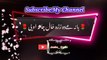 Da zoro khal chata | Pashto poetry | pashto black screen status | ansha__typist.