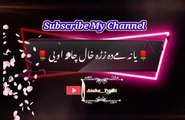 Da zoro khal chata | Pashto poetry | pashto black screen status | ansha__typist.