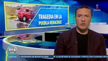 Árbol cae sobre alberca de balneario en Guanajuato; un bebé murió