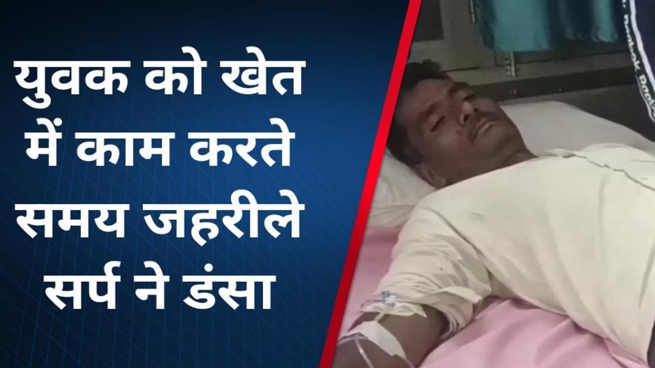 बैतूल: युवक को खेत में काम करते समय जहरीले सांप ने काटा ,उपचार जारी