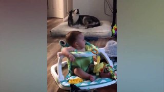 Cute Babies Playing With Dogs Compilation _ Funny Baby And Pets