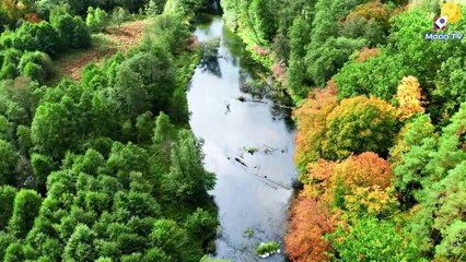 Yoga Meditation Music for a Balanced Mind and Body