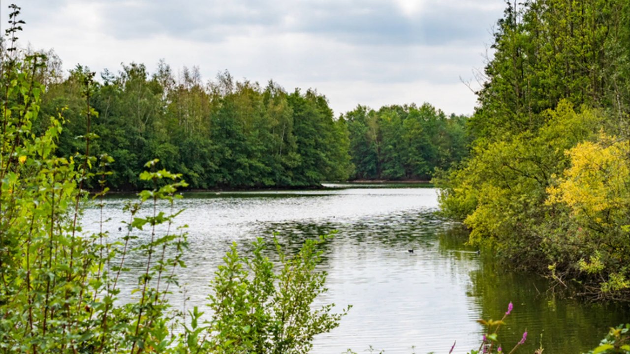 Bottrop Frauenleiche aus Teich video Dailymotion