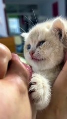 Never seen wow never seen