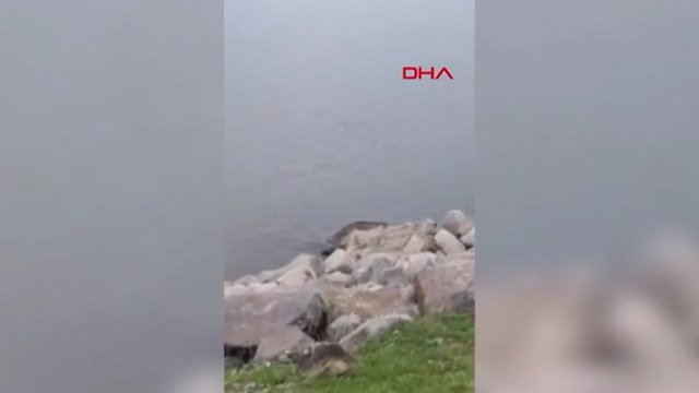 Nesli tehlikedeki 3 su samuru kamerada