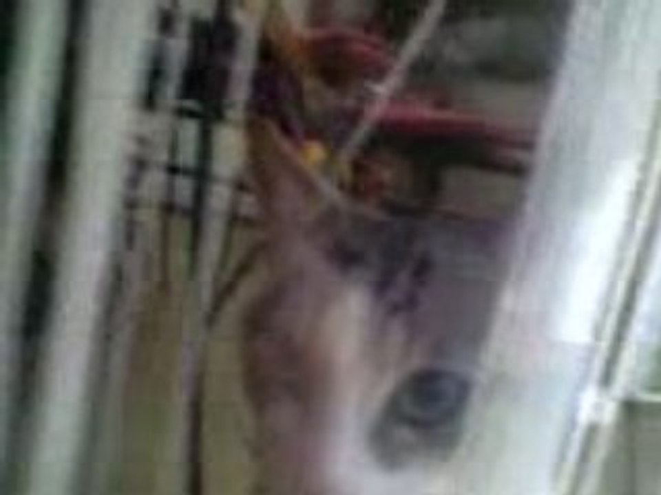 Video 02250002