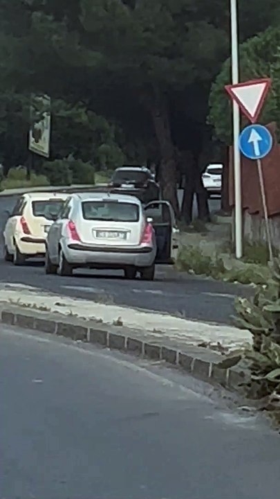 Person Gets Pushed Out of Moving Car