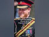 Royal Officials Discussed Stripping Prince Harry of Title, New Book Claims #royal #princeharry