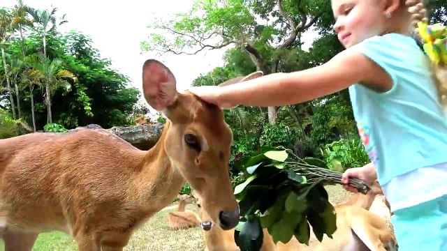Kids Roma Show Diana and Roma visit the zoo, where you can play and feed the animals