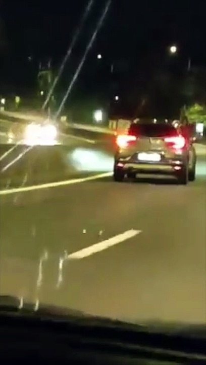 Sauvetage canin improbable sur la quatre voies de la Jamaïque