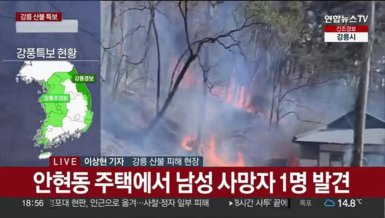 강릉 산불 8시간 만에 진화…재발화·뒷불 감시