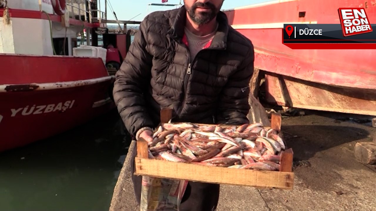 Akçakoca ve Amasra, balık sezonuna erken veda etti