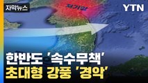 [자막뉴스] 한반도 '속수무책'...초대형 강풍에 아비규환 / YTN