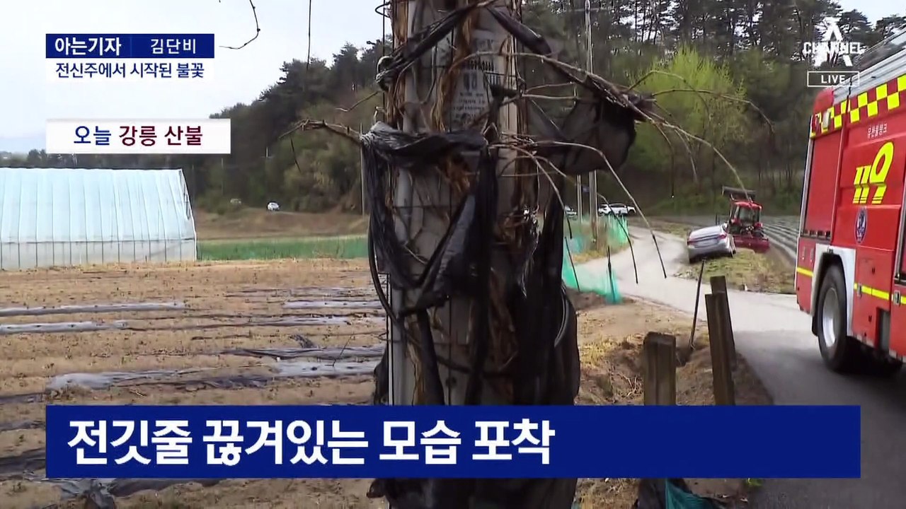 [아는기자]삽시간에 번진 강릉 불씨…산불 잦은 이유?