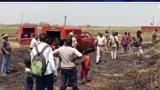 ब्रेकिंग: शॉर्ट-सर्किट से गेहूं की खेत में आग लगी, आधा दर्जन किसानों की फसल जलकर राख