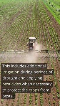 Facts about Farming. Facts about Agreculture. How does farmers work. Farming #viralreels #facebookreels #viralpage #DonaldTrump #facts #eid23 #village #English #india #Pakistan #agriculture #agricultureandfarming #agricultureworldwide