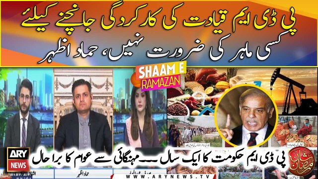 One year of PDM Govt': Hammad Azhar slams PDM over economic crisis and poor policies