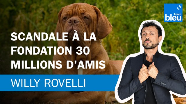 Scandale à la Fondation 30 Millions d'Amis