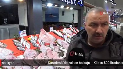 Karadeniz'de kalkan bolluğu... Kilosu 600 liradan satılıyor