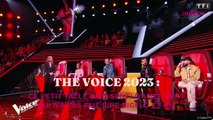 The Voice 2023 : ce petit tacle bien senti d’Amel Bent qui n'a pas fait rire Bigflo et Oli