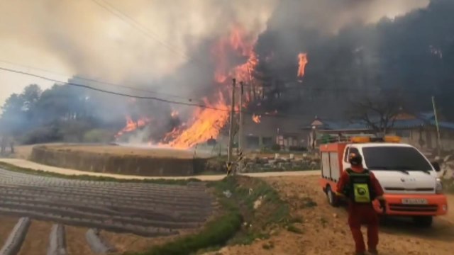 검은 연기로 뒤덮인 강릉...YTN에 쏟아진 제보 영상들 / YTN