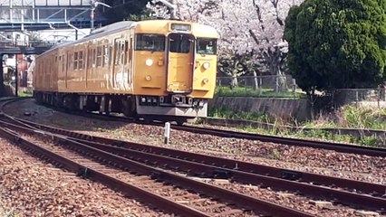 20220405_151440 その155 417M No. 155 417M.