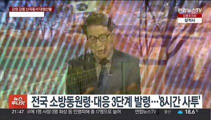 [뉴스투나잇] '8시간 사투' 끝에 주불 진화…축구장 530개 잿더미