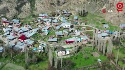 Erzurum’da kurt saldırısında 5 kişi yaralandı: İlhami Akbulut yaşadığı dehşeti anlattı