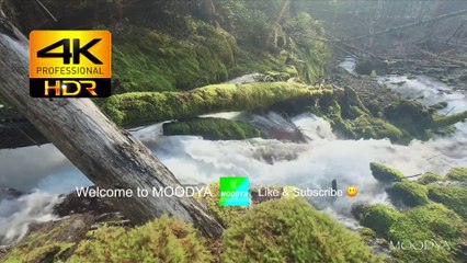 Dolby Vision HDR TV Nature Video - Enchanted Forest Stream on Your TV - Daily Relaxation