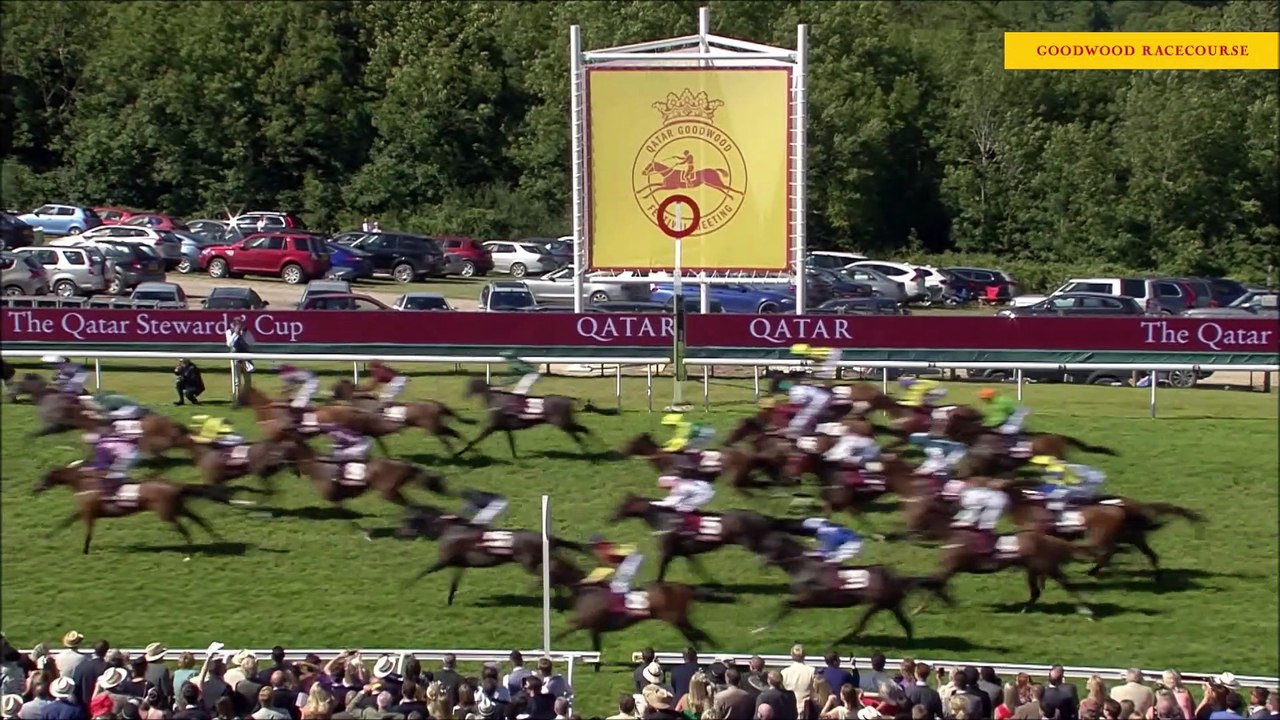 Meet Magical Memory - Goodwood Racecourse ambassador