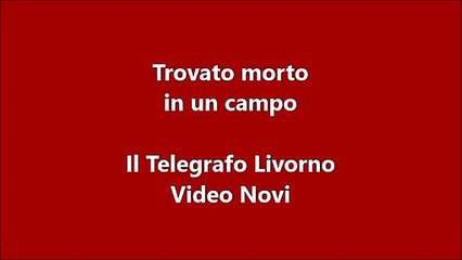 Cadavere in un campo, il ritrovamento (Video Novi)