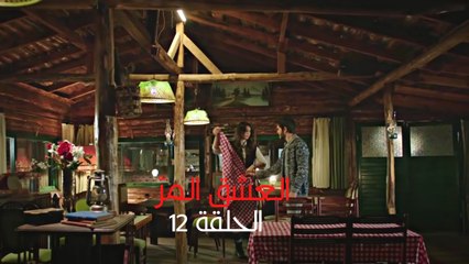 مسلسل العشق المر - الحلقة 12