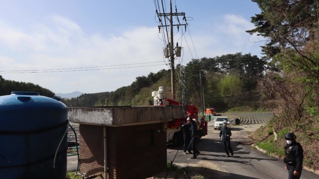 산림청 강풍에 나무 넘어지며 전선 건드려 발화 추정 / YTN