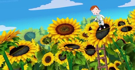 Ollie the Boy Who Became What He Ate Ollie the Boy Who Became What He Ate S02 E026 Doctor Sunflower
