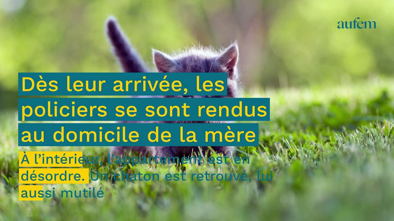 Une fillette retrouvée nue et blessée errant en pleine rue, sa mère condamnée