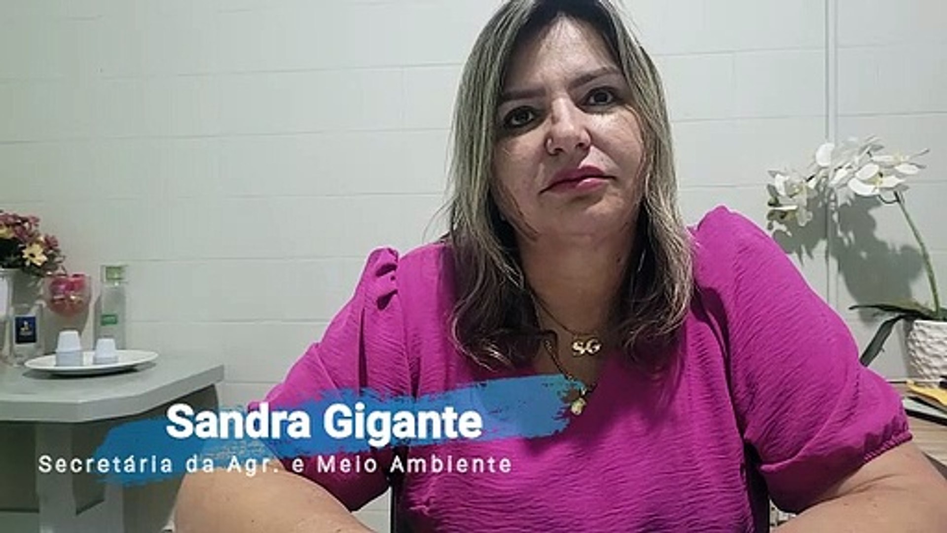 Entevista Sandra Gigante