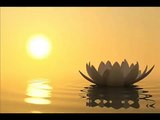 Tranquility in 15 Min l Stress Relief Deep Relax Mind Body l Calming Peaceful Background Music I