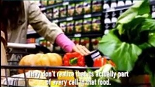 The toxic truth about Food