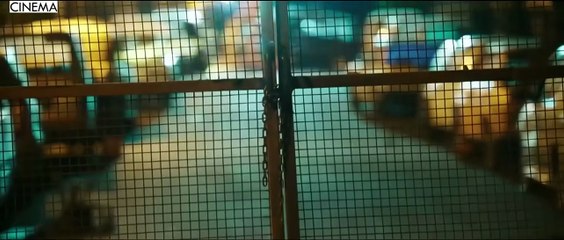 Lawyer (2021) - Fight Scenes - Ajith Kumar