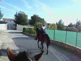 FANNY ET MOI EN BALADE