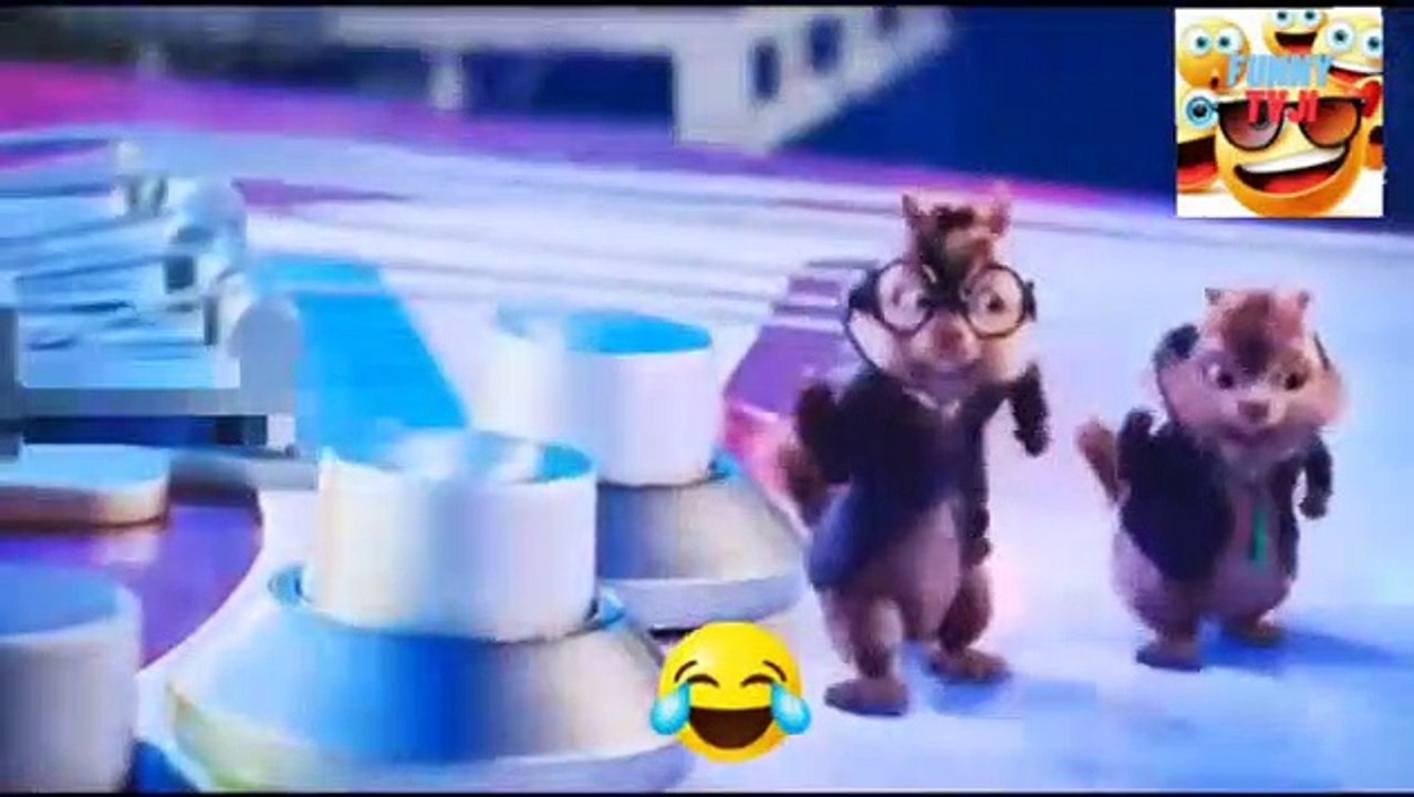 funny song 2video_2023_22_53