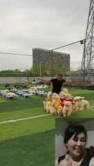 FUNNY VIDEO | You Won't Believe What Happens in this Funny Video