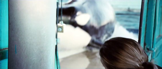 De rouille et d'os - Bande annonce