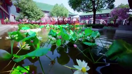 Phi Đao Hựu Kiến Phi Đao - Tập 7